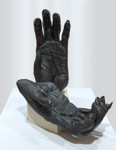 Image of the artwork Chimpanzee Hands